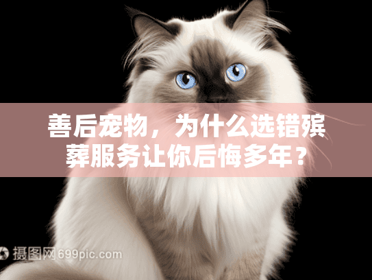 善后宠物,为什么选错殡葬服务让你后悔多年? 善后宠物,为什么选错殡葬服务让你后悔多年?