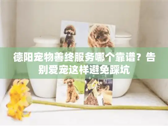 德阳宠物善终服务哪个靠谱？告别爱宠这样避免踩坑
