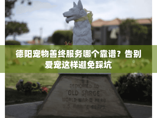 德阳宠物善终服务哪个靠谱？告别爱宠这样避免踩坑