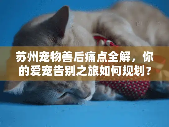 苏州宠物善后痛点全解,你的爱宠告别之旅如何规划? 苏州宠物善后痛点全解,你的爱宠告别之旅如何规划?