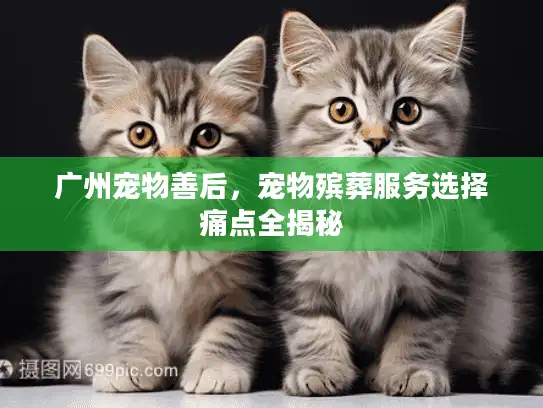 广州宠物善后，宠物殡葬服务选择痛点全揭秘