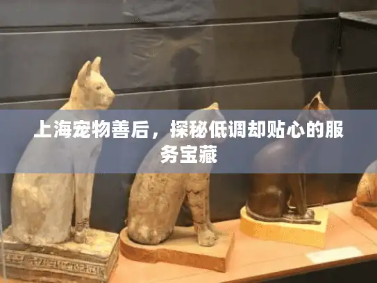 上海宠物善后，探秘低调却贴心的服务宝藏