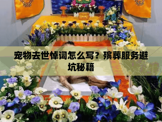 宠物去世悼词怎么写？殡葬服务避坑秘籍