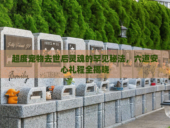超度宠物去世后灵魂的罕见秘法，六道安心礼程全揭晓