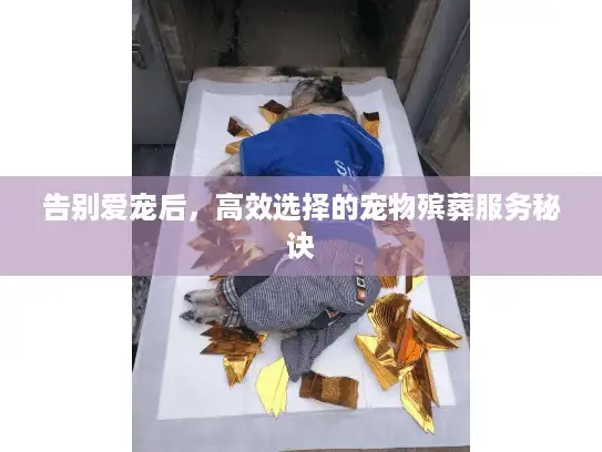告别爱宠后,高效选择的宠物殡葬服务秘诀 告别爱宠后,高效选择的宠物殡葬服务秘诀