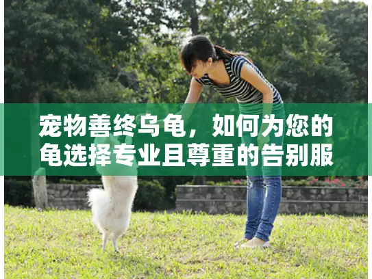 宠物善终乌龟，如何为您的龟选择专业且尊重的告别服务？