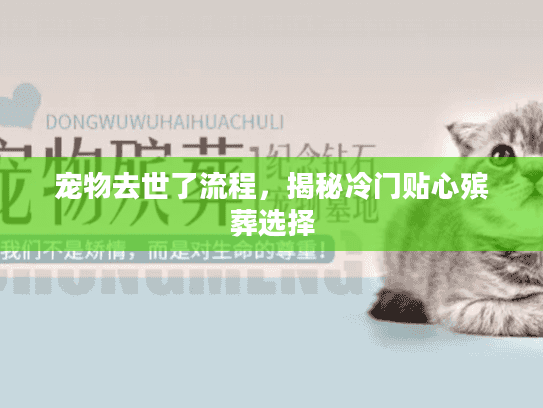 宠物去世了流程，揭秘冷门贴心殡葬选择