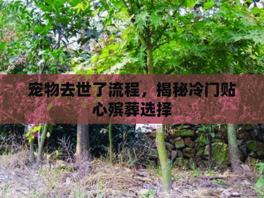 宠物去世了流程，揭秘冷门贴心殡葬选择