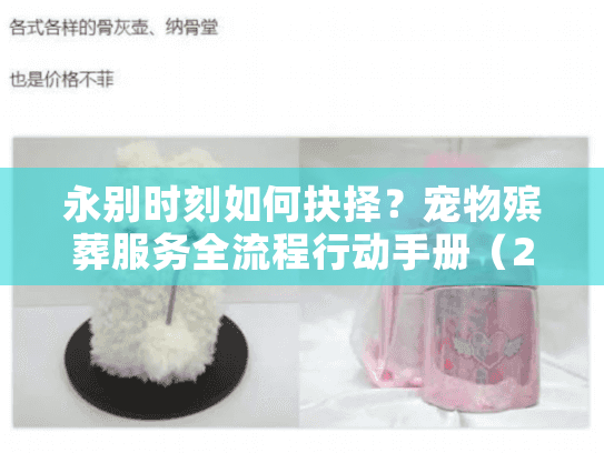 永别时刻如何抉择?宠物殡葬服务全流程行动手册(2025最新指南) 永别时刻如何抉择?宠物殡葬服务全流程行动手册(2025最新指南)
