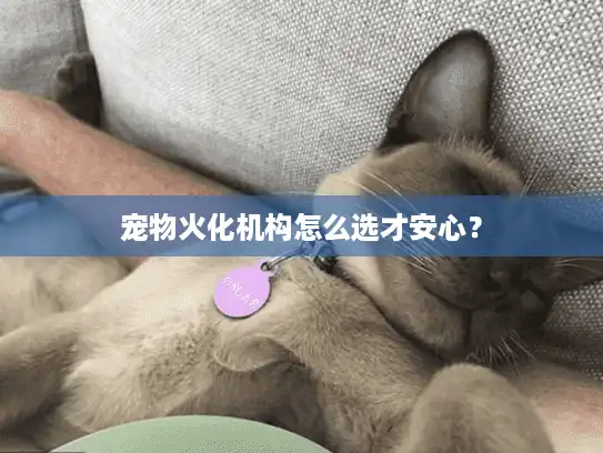 宠物火化机构怎么选才安心？