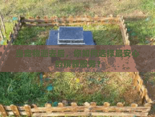 当宠物逝去后，你如何选择最安心的殡葬服务？