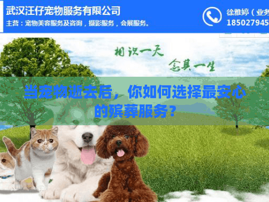 当宠物逝去后，你如何选择最安心的殡葬服务？
