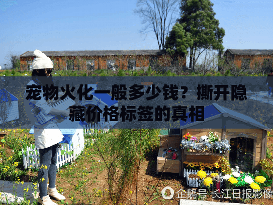 宠物火化一般多少钱？撕开隐藏价格标签的真相