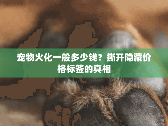 宠物火化一般多少钱？撕开隐藏价格标签的真相