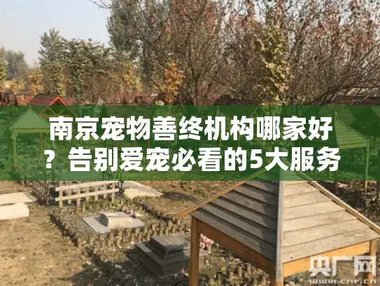南京宠物善终机构哪家好?告别爱宠必看的5大服务标准 南京宠物善终机构哪家好?告别爱宠必看的5大服务标准
