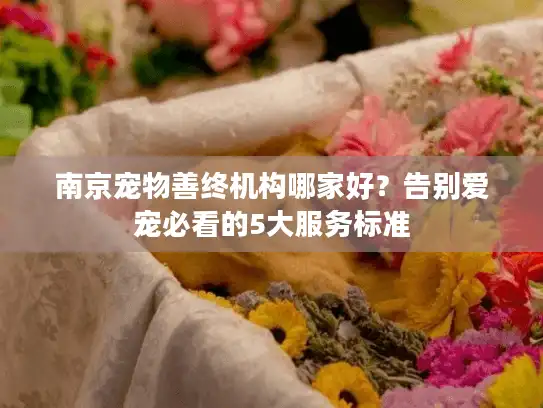 南京宠物善终机构哪家好?告别爱宠必看的5大服务标准 南京宠物善终机构哪家好?告别爱宠必看的5大服务标准