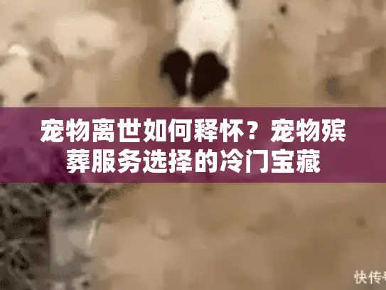 宠物离世如何释怀？宠物殡葬服务选择的冷门宝藏