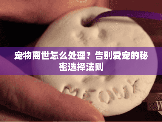 宠物离世怎么处理？告别爱宠的秘密选择法则