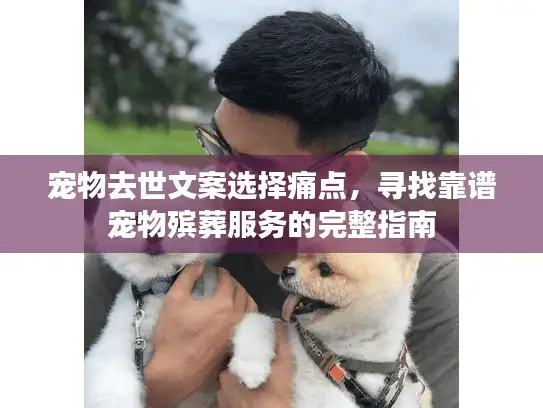 宠物去世文案选择痛点，寻找靠谱宠物殡葬服务的完整指南