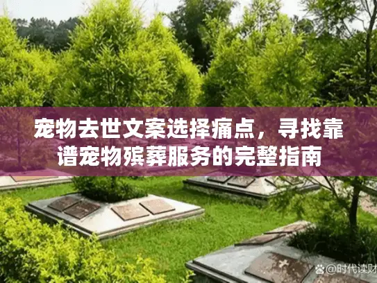宠物去世文案选择痛点，寻找靠谱宠物殡葬服务的完整指南