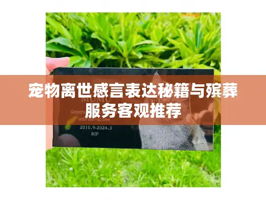 宠物离世感言表达秘籍与殡葬服务客观推荐 宠物离世感言表达秘籍与殡葬服务客观推荐