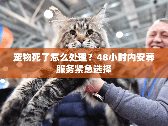 宠物死了怎么处理？48小时内安葬服务紧急选择