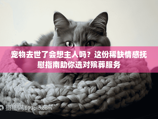宠物去世了会想主人吗？这份稀缺情感抚慰指南助你选对殡葬服务
