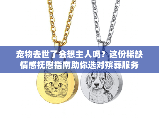 宠物去世了会想主人吗？这份稀缺情感抚慰指南助你选对殡葬服务