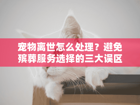 宠物离世怎么处理?避免殡葬服务选择的三大误区 宠物离世怎么处理?避免殡葬服务选择的三大误区