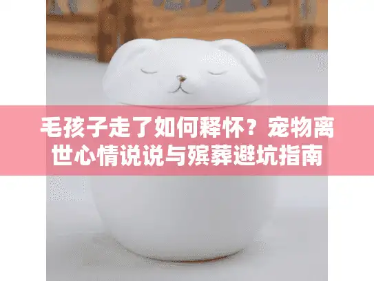 毛孩子走了如何释怀？宠物离世心情说说与殡葬避坑指南