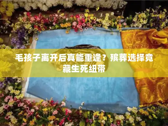 毛孩子离开后真能重逢？殡葬选择竟藏生死纽带