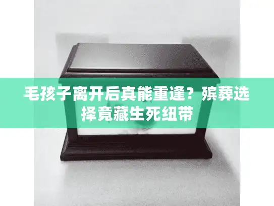 毛孩子离开后真能重逢？殡葬选择竟藏生死纽带
