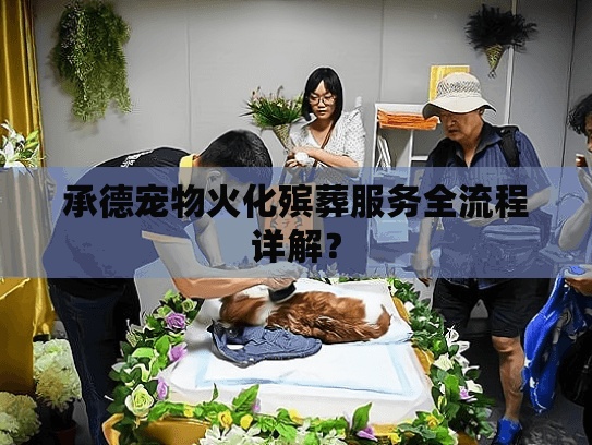 承德宠物火化殡葬服务全流程详解? 承德宠物火化殡葬服务全流程详解?