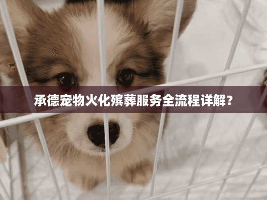 承德宠物火化殡葬服务全流程详解? 承德宠物火化殡葬服务全流程详解?