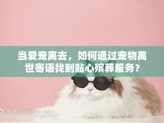 当爱宠离去，如何通过宠物离世寄语找到贴心殡葬服务？