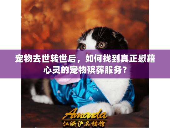 宠物去世转世后,如何找到真正慰藉心灵的宠物殡葬服务? 宠物去世转世后,如何找到真正慰藉心灵的宠物殡葬服务?
