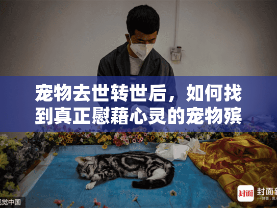 宠物去世转世后,如何找到真正慰藉心灵的宠物殡葬服务? 宠物去世转世后,如何找到真正慰藉心灵的宠物殡葬服务?