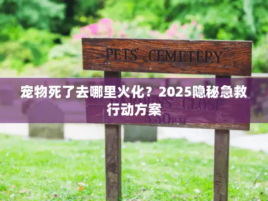 宠物死了去哪里火化?2025隐秘急救行动方案 宠物死了去哪里火化?2025隐秘急救行动方案