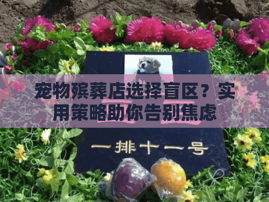 宠物殡葬店选择盲区？实用策略助你告别焦虑