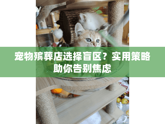 宠物殡葬店选择盲区？实用策略助你告别焦虑