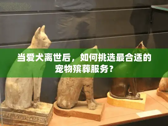 当爱犬离世后,如何挑选最合适的宠物殡葬服务? 当爱犬离世后,如何挑选最合适的宠物殡葬服务?