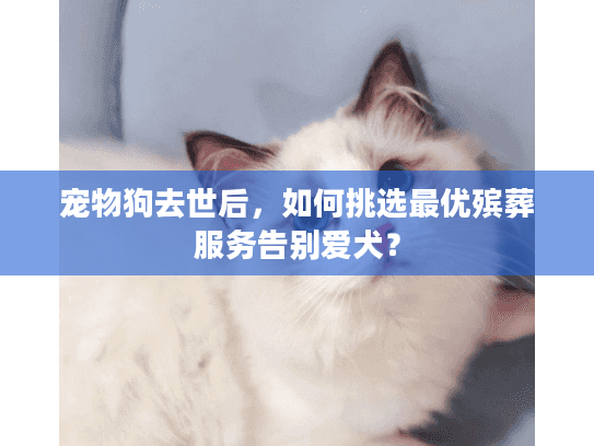 宠物狗去世后,如何挑选最优殡葬服务告别爱犬? 宠物狗去世后,如何挑选最优殡葬服务告别爱犬?
