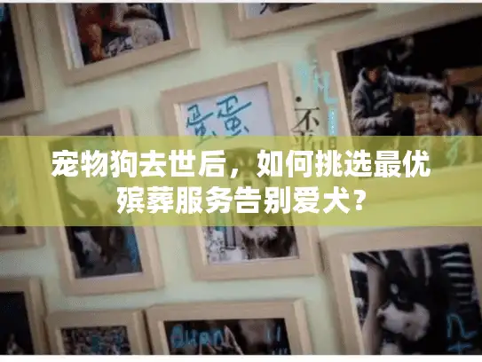 宠物狗去世后,如何挑选最优殡葬服务告别爱犬? 宠物狗去世后,如何挑选最优殡葬服务告别爱犬?