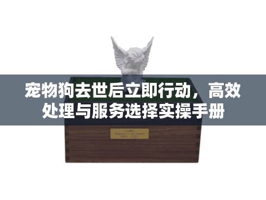 宠物狗去世后立即行动，高效处理与服务选择实操手册