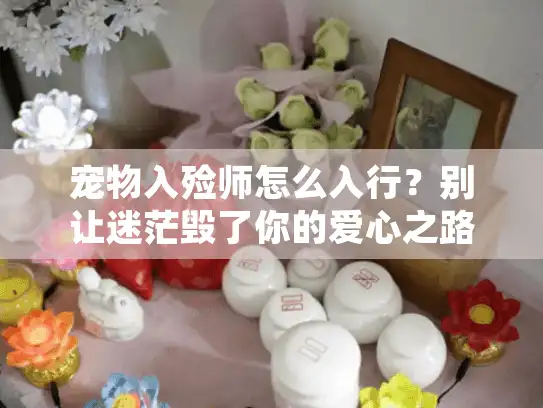宠物入殓师怎么入行？别让迷茫毁了你的爱心之路，这份独家入行秘籍必看！