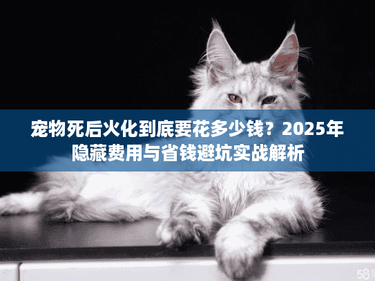 宠物死后火化到底要花多少钱？2025年隐藏费用与省钱避坑实战解析