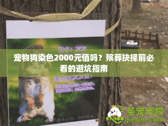 宠物狗染色2000元值吗？殡葬抉择前必看的避坑指南