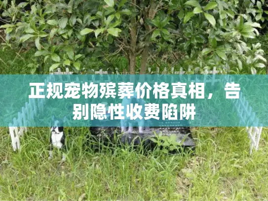 正规宠物殡葬价格真相，告别隐性收费陷阱