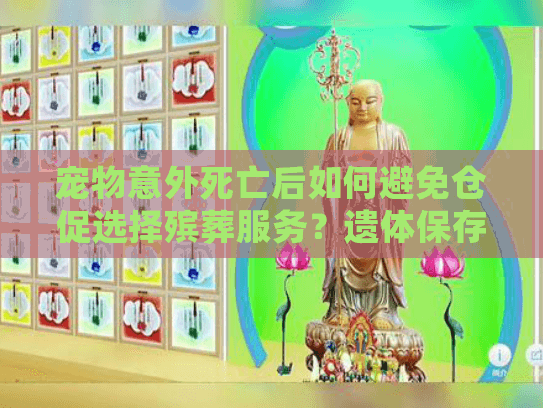 宠物意外死亡后如何避免仓促选择殡葬服务？遗体保存期＋费用陷阱指南