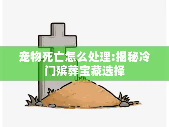 宠物死亡怎么处理:揭秘冷门殡葬宝藏选择